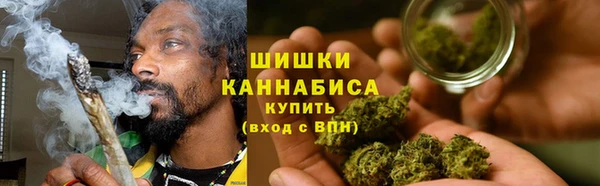 ГАЛЛЮЦИНОГЕННЫЕ ГРИБЫ Алзамай