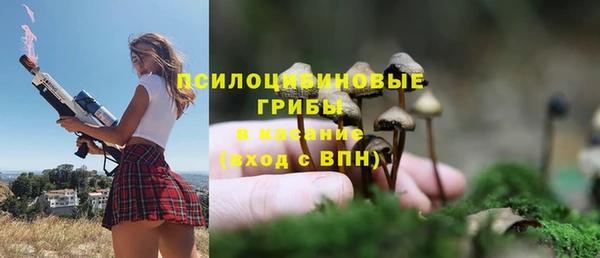 MESCALINE Покачи