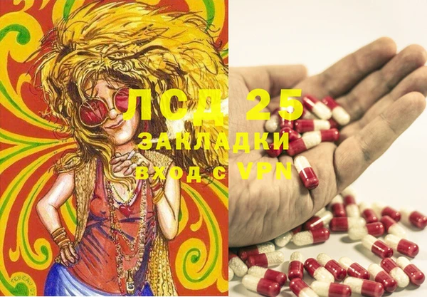 ГАЛЛЮЦИНОГЕННЫЕ ГРИБЫ Алзамай