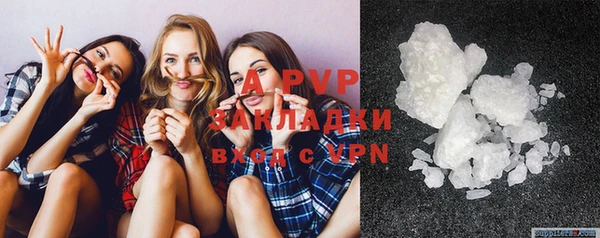 ГАЛЛЮЦИНОГЕННЫЕ ГРИБЫ Алзамай