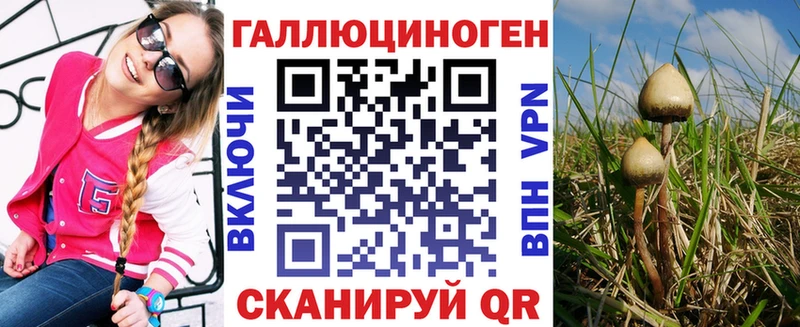 наркошоп Губкин omg как зайти Псилоцибиновые грибы Psilocybe