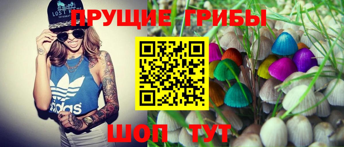 Галлюциногенные грибы Psilocybine cubensis Губкин