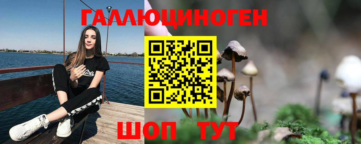 Галлюциногенные грибы мицелий  Галлюциногенные грибы Psilocybe  Губкин  сколько стоит  Вход с VPN 