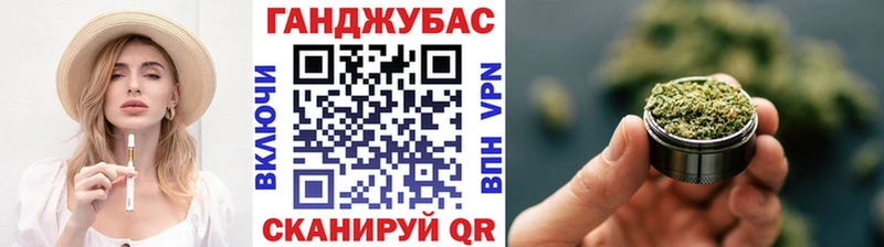 кракен   Губкин  Каннабис планчик 
